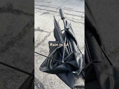 Rain in LA, not friendly to new umbrellas