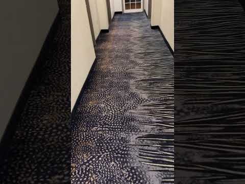 #shorts #dog #dogbarking #hotel Is The Dog Barking for Help?