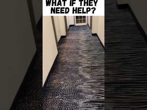#shorts #dog #dogbarking #hotel Is The Dog Barking for Help?