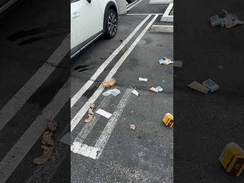 Why Use A Garbage Can for Trash?
